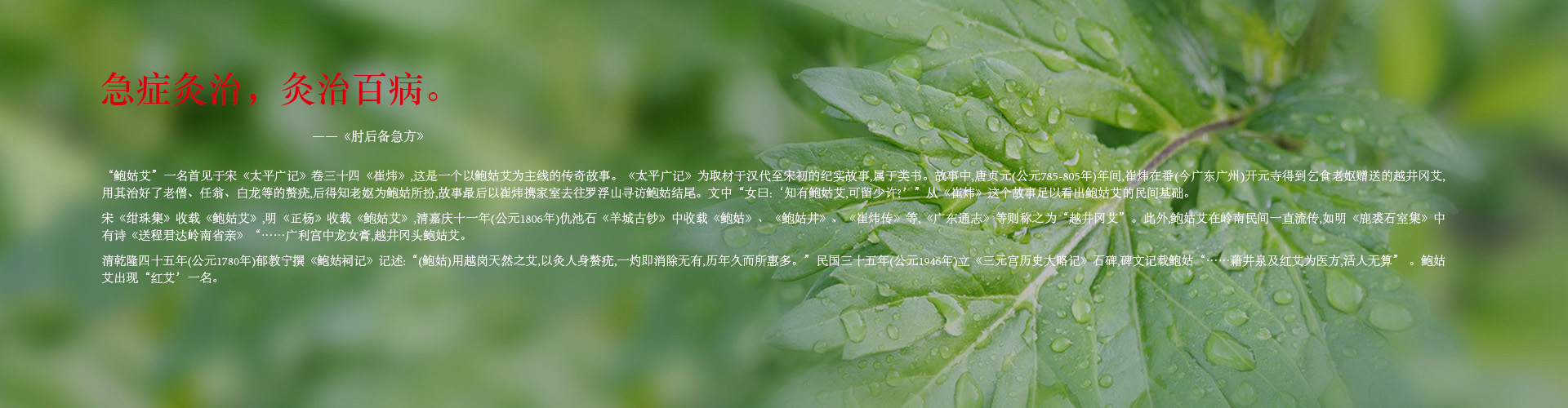 农业中心